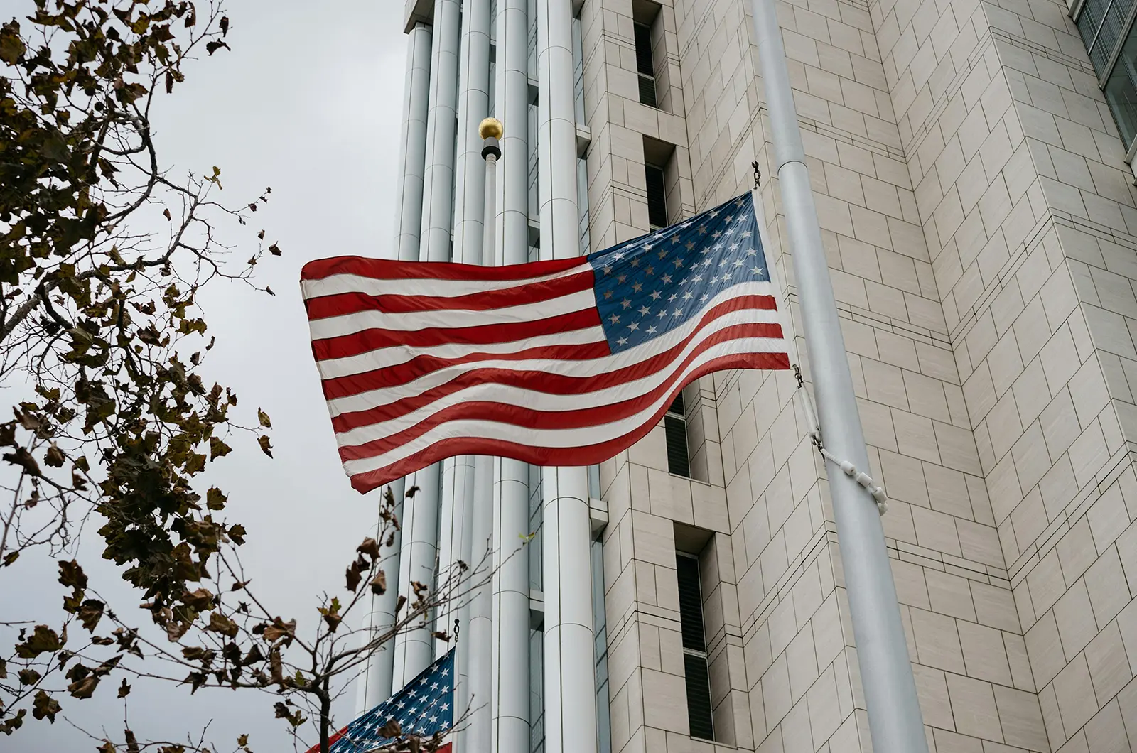 Citizenship & Naturalization